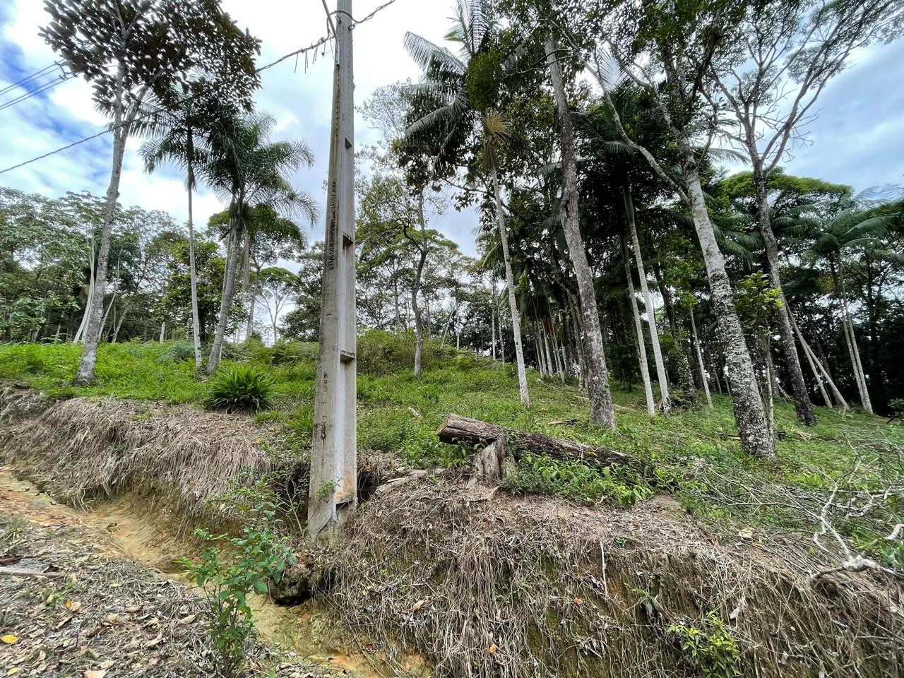 Terreno em Varginha, Santo Amaro da Imperatriz. 0 quartos, 1631m². Imagem 14 de 14